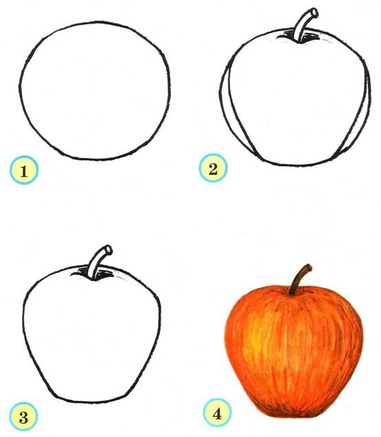 Как нарисовать фрукты