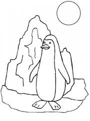 Раскраска Пингвин - распечатать бесплатно