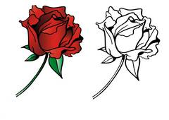 Раскраски Розы - распечатать бесплатно