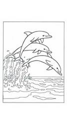 Раскраска Дельфин - распечатать бесплатно