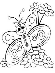 Раскраски Бабочки - распечатать бесплатно