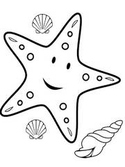 Раскраски Морская звезда - распечатать бесплатно