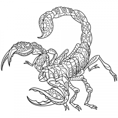 Раскраска Скорпион