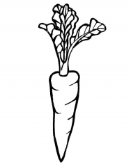 Раскраска Морковка