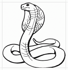 Раскраска Змея