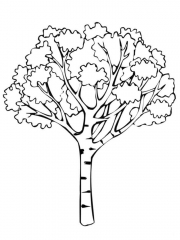 Раскраска Дерево