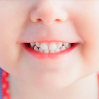 Факты о молочных зубах