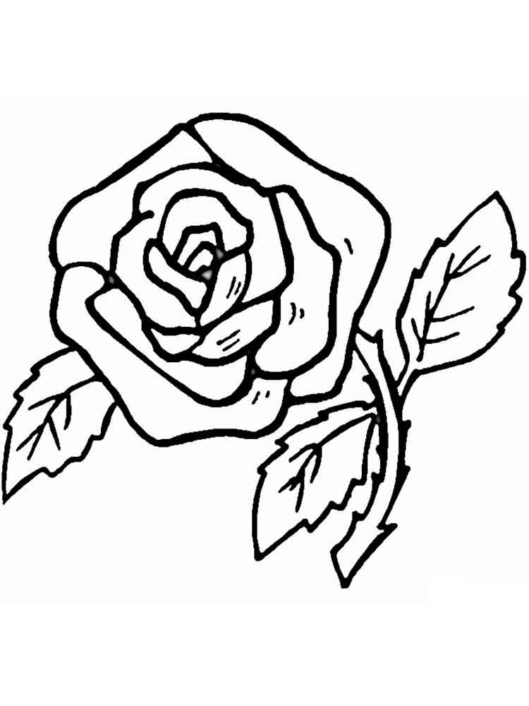 Раскраска Роза распечатать