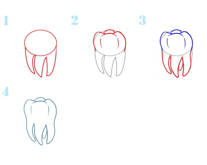 Как нарисовать зуб