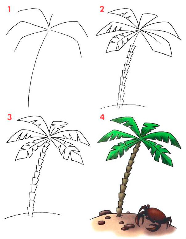 Как нарисовать пальму