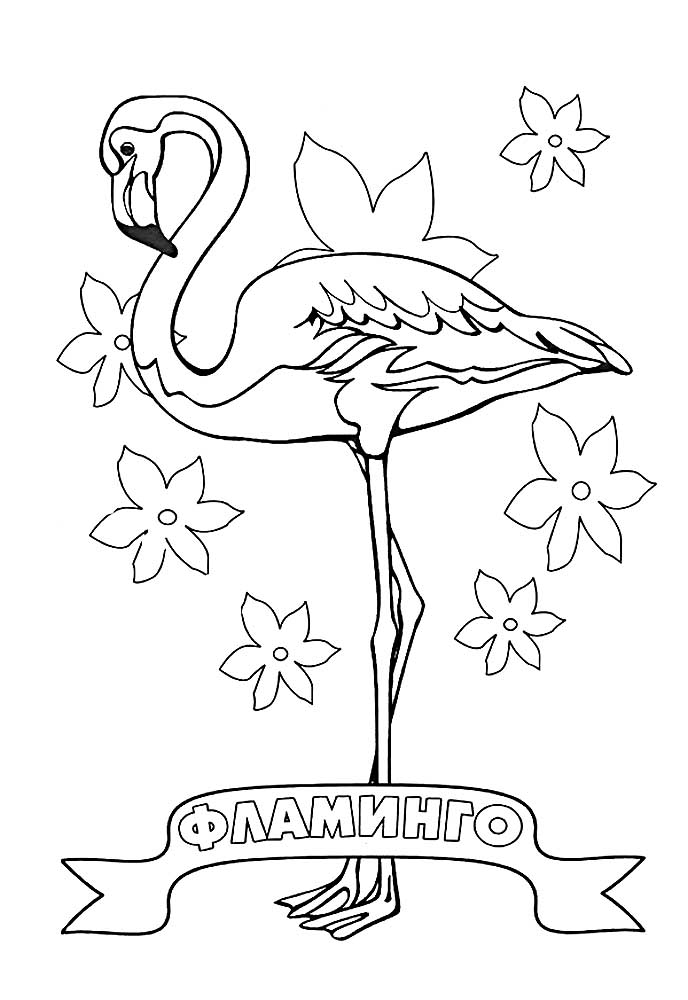 Раскраска Фламинго распечатать