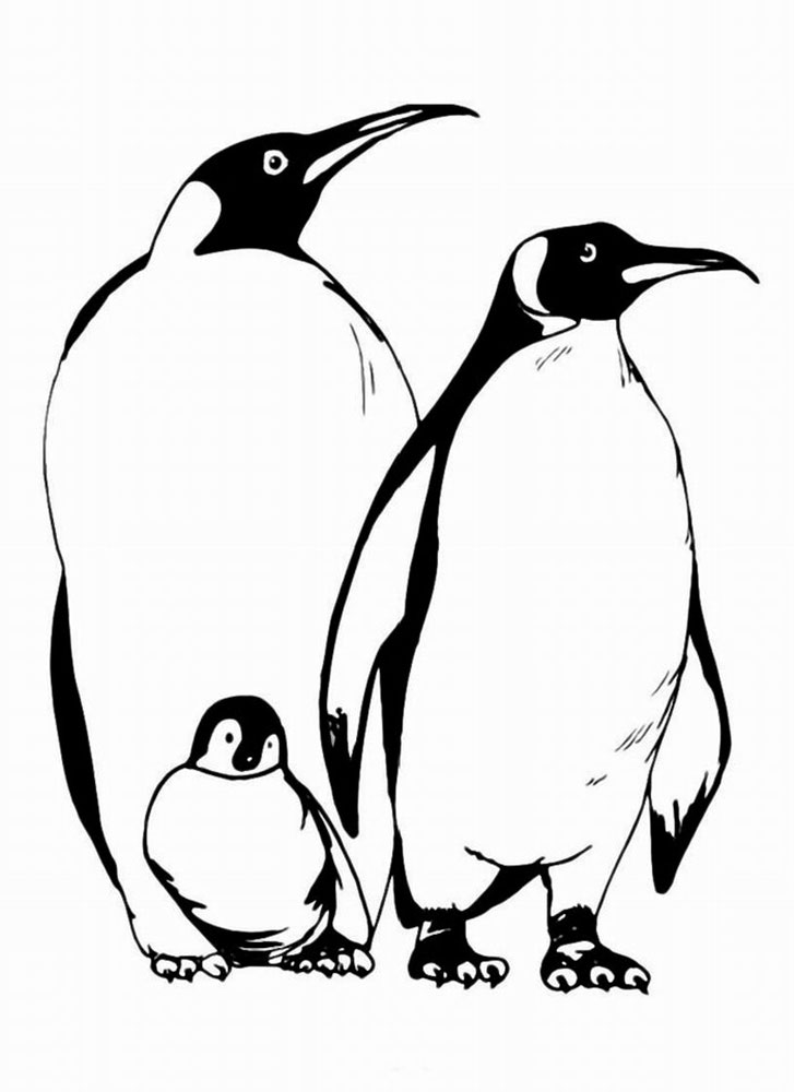 Раскраска Пингвин распечатать