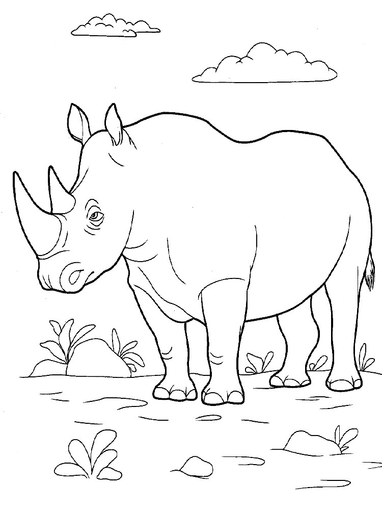 Раскраска Носорог распечатать