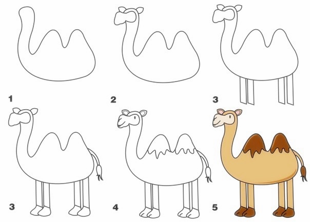 Учимся рисовать верблюда