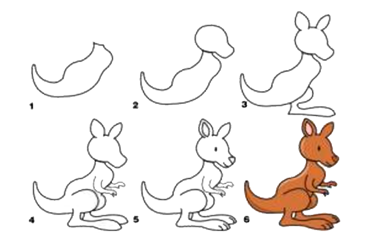 Учимся рисовать кенгуру